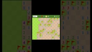 Minesweeper #28